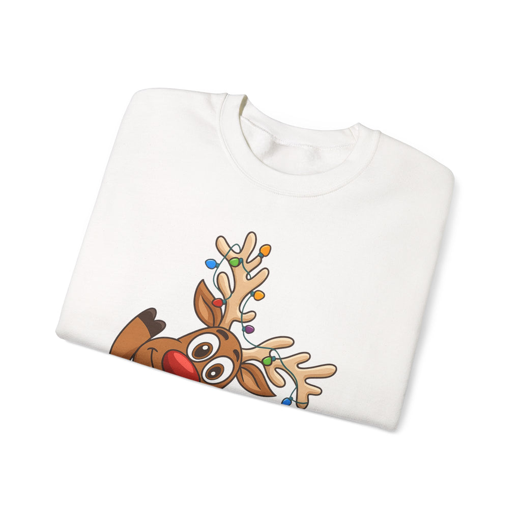 Funny Reindeer Sweatshirt