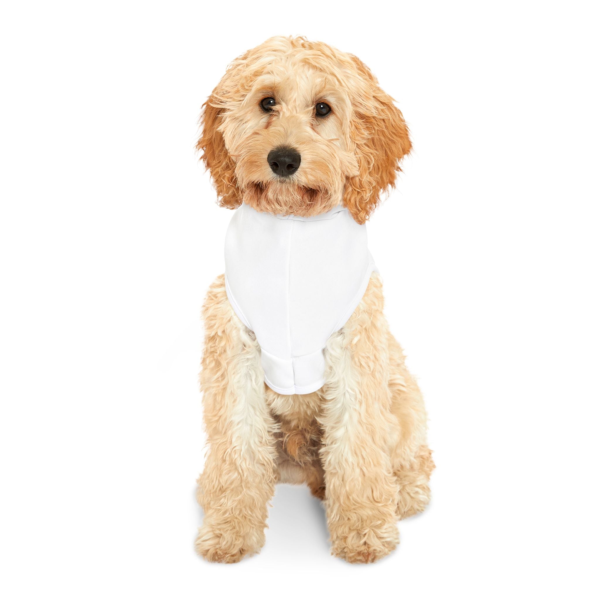 Tuck the Fankees Pet Hoodie - Cozy Apparel for Dog Lovers